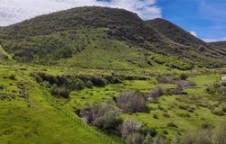 RCR 50, Milner, CO 80487