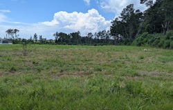 Lot 2-b6 Tungoil Rd, Pine Grove, LA 70453