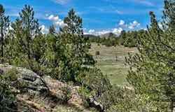 7080 Copper Gulch Rd, Cotopaxi, CO 81223