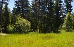 315 Gleneagles Trail, Columbia Falls, MT 59912