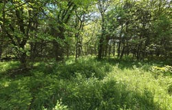13605 SE 226, Osceola, MO 64776