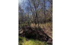 Lot 5915 Wild Laurel Drive, Long Pond, PA 18334