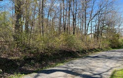 Lots 26-29 E THIRD AVENUE, OAKLAND, MD 21550