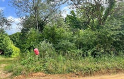 827  Bunn Ln, Broken Bow, OK 74728