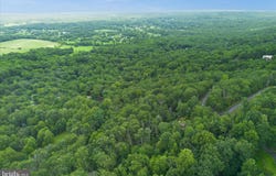 2591 WILEY Terrace, HAYMARKET, VA 20169