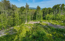 Swain Road, Rumford, ME 04276