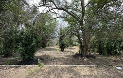 139 Anderson, San Antonio, TX 78203