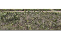11.32 acre County Road 2228 (A), Hartman, AR 72840