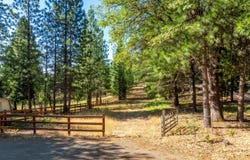 TBD Starkes Grade Road, Pollock Pines, CA 95726