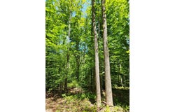 15 Ac Manteo Rd, Buckingham, VA 23921