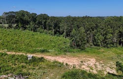 R T Womack Road, Mendenhall, MS 39114