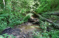 731 Gage Drive, Hiawassee, GA 30546