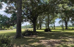 7231 Ridge Rd, Brewton, AL 36426