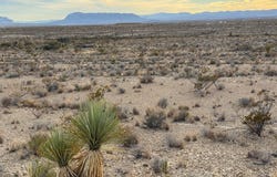 4838 Private Rd, Terlingua, TX 79852