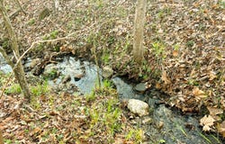 TBD Diamond School Road, Grubville, MO 63041