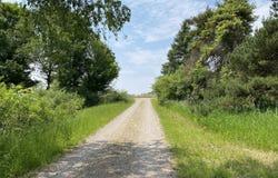 7020 Hillman Road, Six Lakes, MI 48886