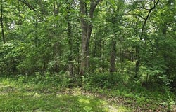 217 Anna Street, St James, MO 65559