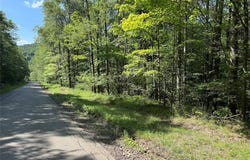 Jollytown Road, Hinsdale, NY 14743