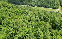 1704 Saltwell Road, Shinnston, WV 26431