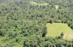 1980 Higdon Road, Holly Springs, MS 38635