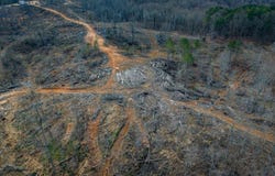 0 County Road 217 Lot 1, Blue Springs, MS 38828