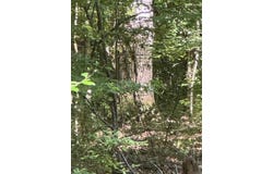 0 HWY Highway 8, New Edinburg, AR 71660