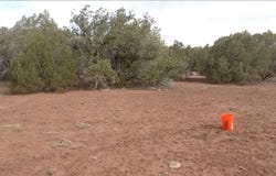 Tbd LAZY O RD, Show Low, AZ 85901