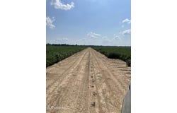 Straight Bayou Road, Anguilla, MS 38721