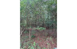 715 FALLVIEW LANE, ODENVILLE, AL 35120