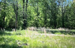 24 Jones Bend Road, Paris, TN 38242