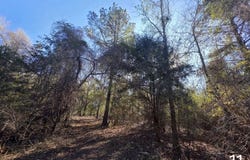 0 Chipola Rd, Slocomb, AL 36375