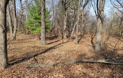 Newbold Road, Cary, IL 60013