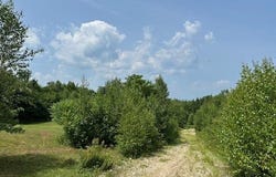00 Brownfield Road, Conway, NH 03813