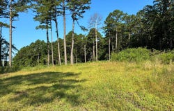 34163 Caston School Road, Wister, OK 74966