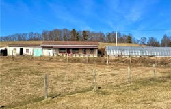 8660 Austin Traphill Road, Traphill, NC 28685