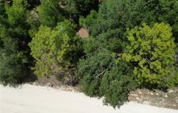 0000 SW 16TH PLACE, OCALA, FL 34481