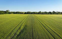 13  Road, Moline, KS 67353