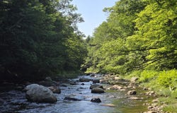 Temple Road lot: 67-C, Temple, ME 04984