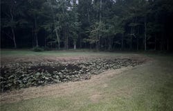 Lee Rd 179, Salem, AL 36874