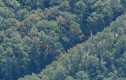 8095 N FLOYD POINT, CITRUS SPRINGS, FL 34434