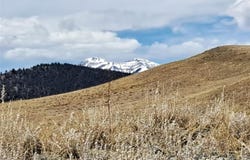 205 CLEAR CREEK COURT, Hartsel, CO 80449