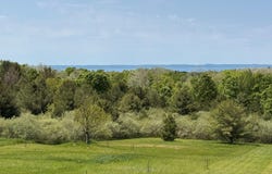 5815 Farrell Road, Central Lake, MI 49622