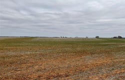 Tba2 FM 2405, Ovalo, TX 79541