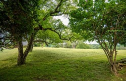 114 N School Street, Shippenville, PA 16254