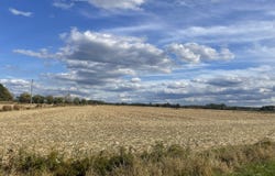 0 Whitehaven Rd, Tyaskin, MD 21865
