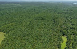 TBD East Tract Weaver Lane, Grannis, AR 71944