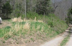 Carlos Road, Sneedville, TN 37869
