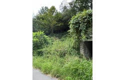 1080 Fairview Road, Duffield, VA 24244