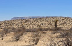 150 Wildflower Way, Terlingua, TX 79852