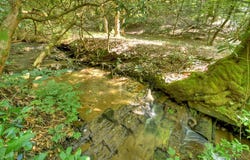 409 Hothouse Lane, Mineral Bluff, GA 30559